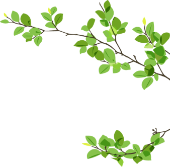 bg-leaf2